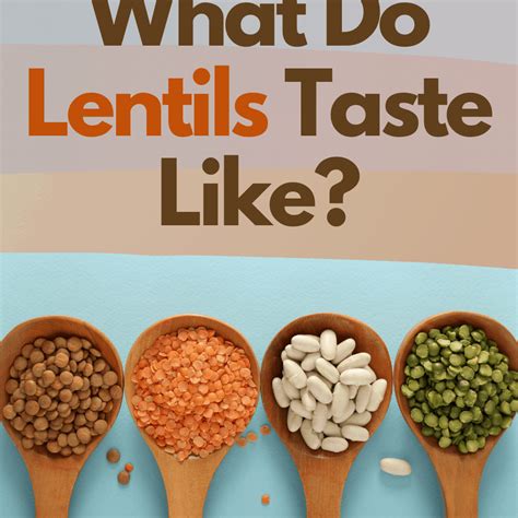 What Do Lentils Taste Like