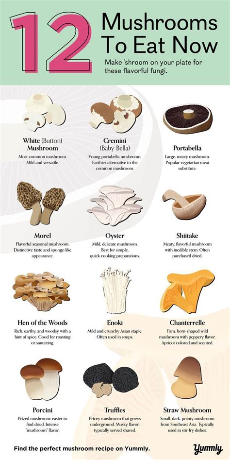 What Do Mushrooms Eat