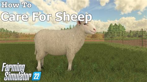 What Do Sheep Eat In Farming Simulator 22