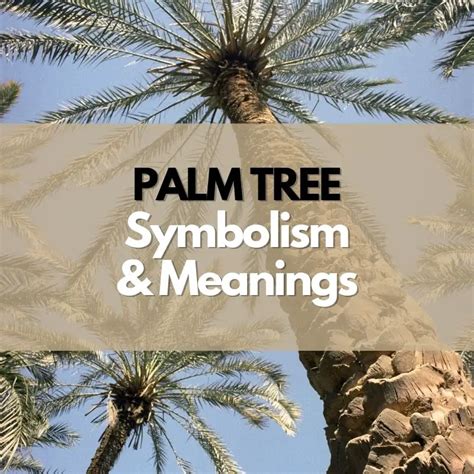 Palm Tree: Symbolism & Spiritual Meaning - Awakening State