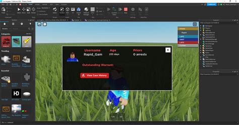 What Does C System Do In Roblox [2022] - Wakelet