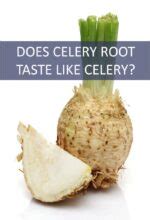 What Does Celery Root Taste Like