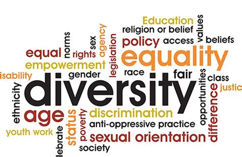 What Does Diversity in a Community Mean