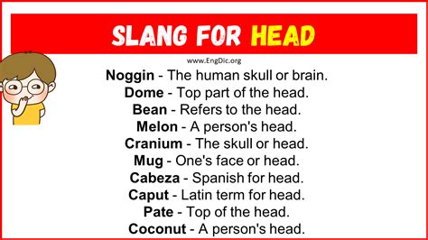What Does Head Mean in Slang