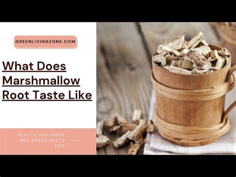 What Does Marshmallow Root Taste Like