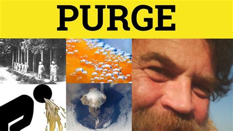 Unlocking the Secrets of Purge: All You Need to Know about its Definition and Meaning