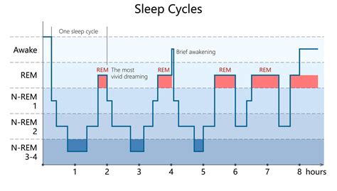 What Does Rem Mean In Sleep
