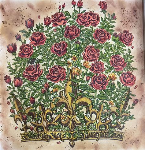 What Exactly is Fantomorphia