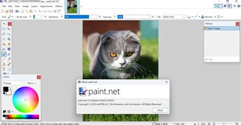 What Exactly is Picture Editor Paint