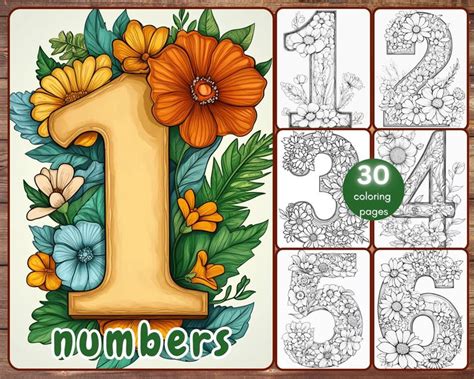 What Exactly is a Coloring Book For Adults With Numbers