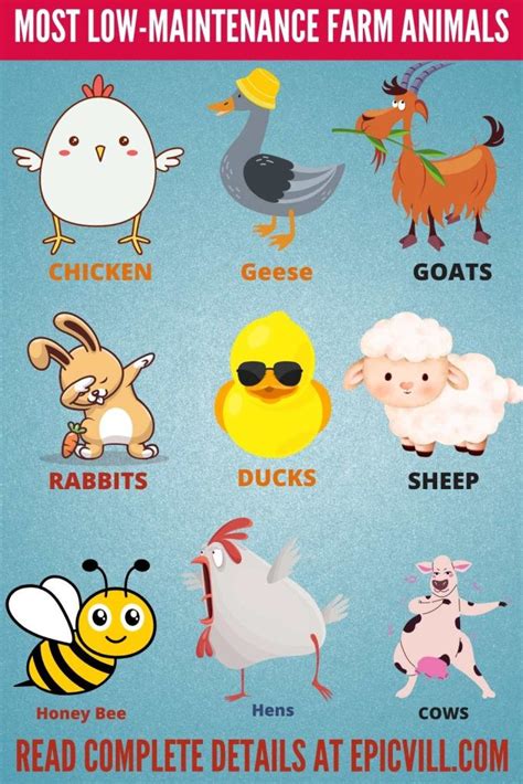 What Farm Animals Are Low Maintenance