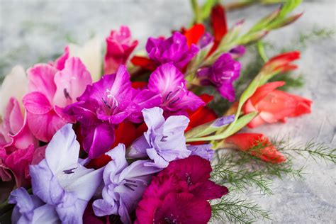What Flower Is For August