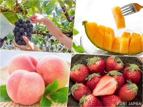 What Fruit Is Popular In Japan