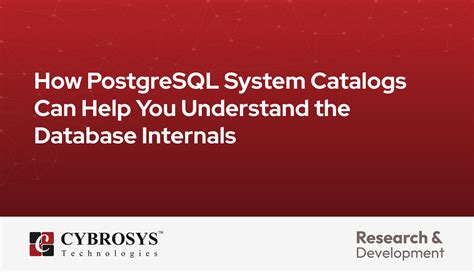 What Information Is Stored In The System Catalogs