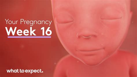 What Is 16 Weeks From Today