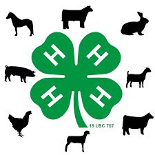What Is 4-H Farm Animals