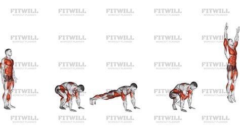 What Is A Burpee