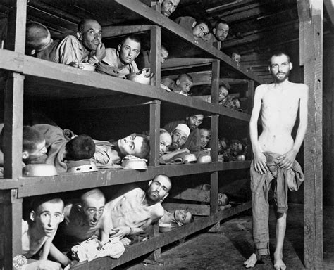 Understanding Concentration Camps: History, Purpose, and Legacy
