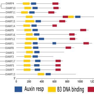 What Is A Conserved Domain