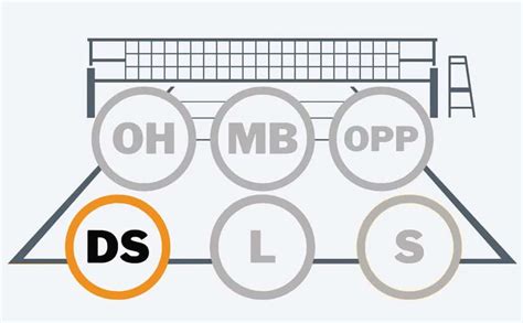What Is A Ds In Volleyball