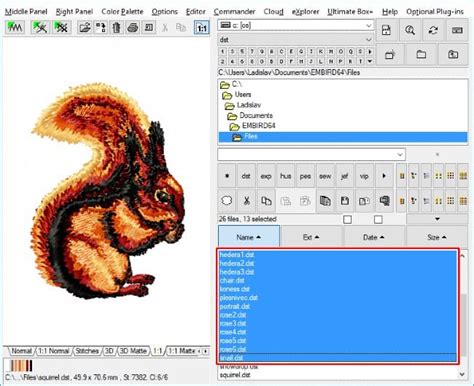 What Is A Dst File For Embroidery