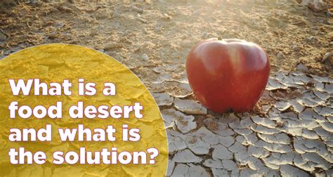 Breaking the Cycle of Hunger: A Closer Look at Food Deserts and Their Devastating Impact