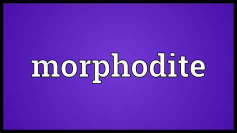 What Is A Morphodite