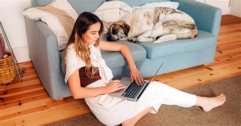 What Is A Rehoming Fee