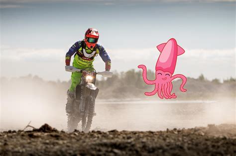 What Is A Squid Motorcycle