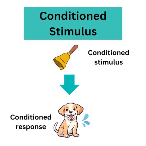 What Is A Stimulus In Psychology