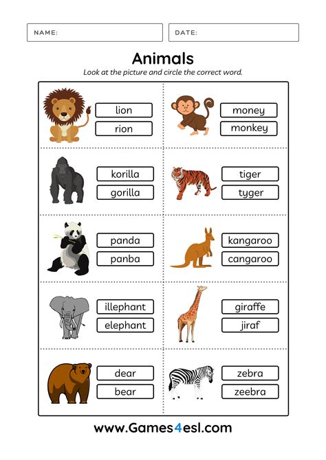 Discover the Answers: Understanding What Is An Animal Worksheet with Ease