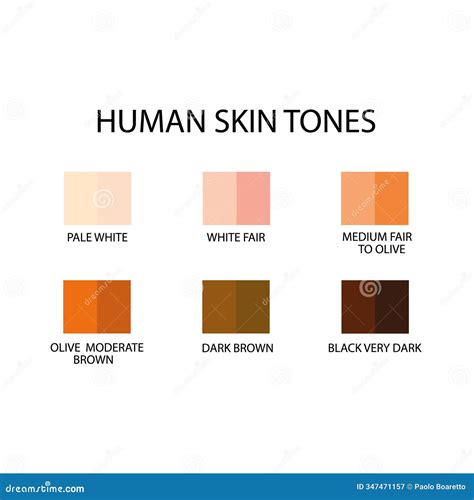 The Epidermal Ecosystem: Discovering the Monikers for the Most Visible Organ, Our Skin