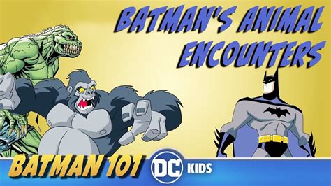 Discover Batman's Preferred Animal: The Surprising Answer Revealed!