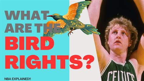 Unlocking the Secret of Bird Rights: Exploring the NBA's Signature Salary Cap Loophole