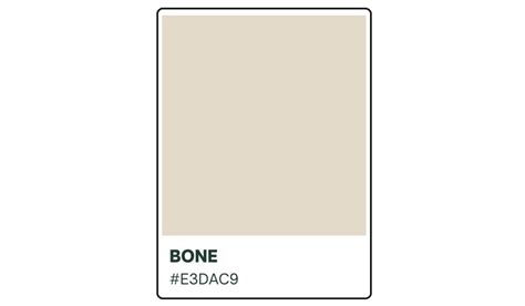 What Is Bone Color
