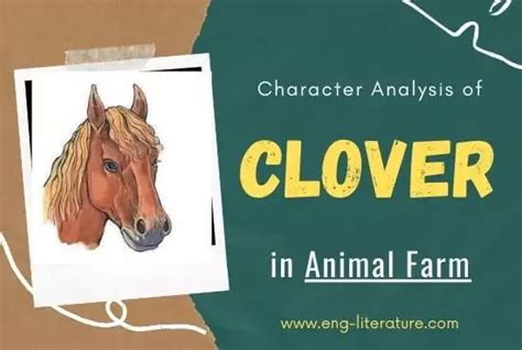 What Is Clovers Role In Animal Farm