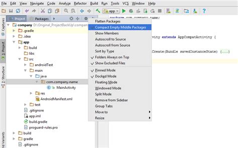 What Is Company Domain In Android Studio