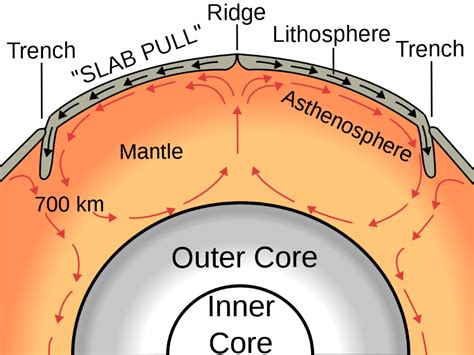 What Is Convection For Plate Tectonics