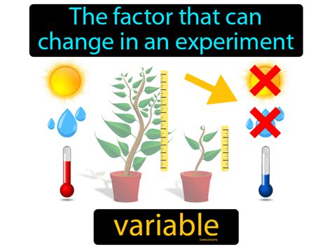 Unlocking the Mystery: The Definition and Significance of Variables in Statistics