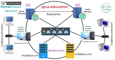What Is Domain Networks