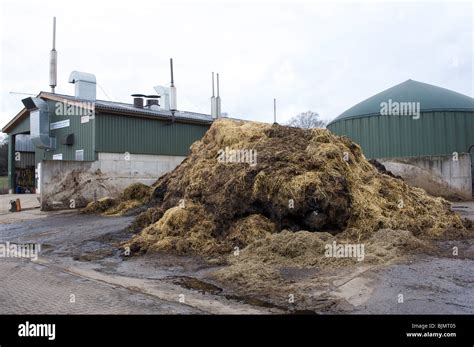 What Is Done With Farm Animal Waste