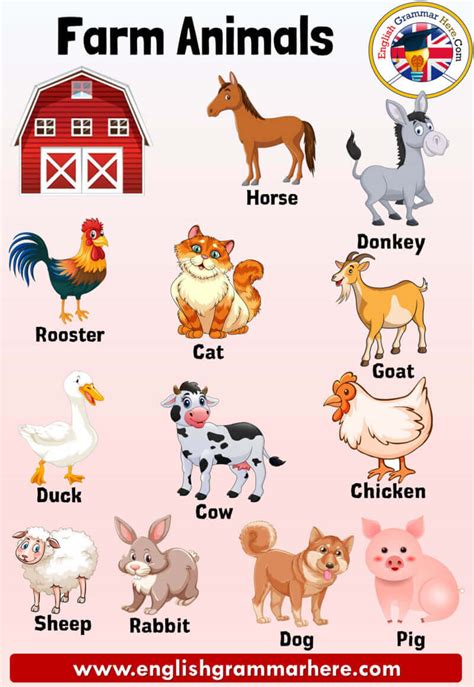 What Is Farm Animals Definition
