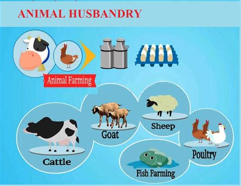 What Is Farming Along With Animal Husbandry Called