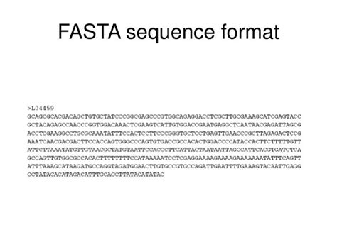 What Is Fasta Format