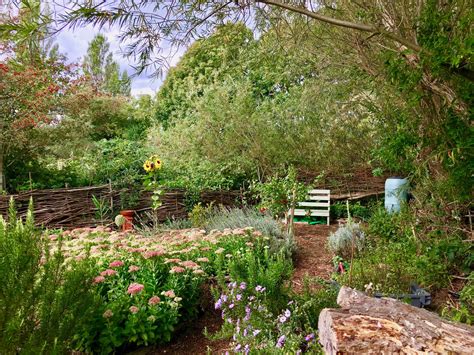 What Is Forest Garden