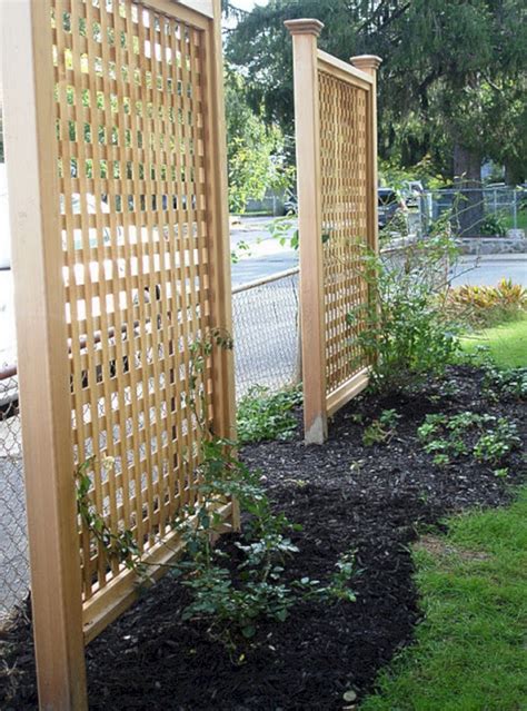 What Is Garden Trellis