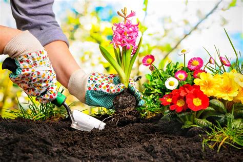 What Is Gardening Definition