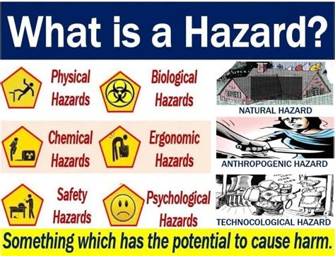 What Is Hazard Brainly