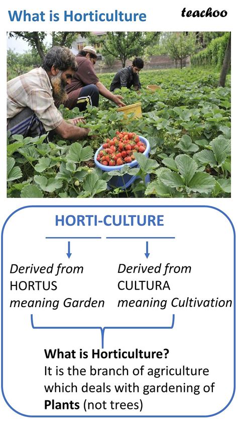 What Is Horticulture Meaning