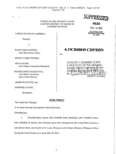 What Is Indictment Summary Examples